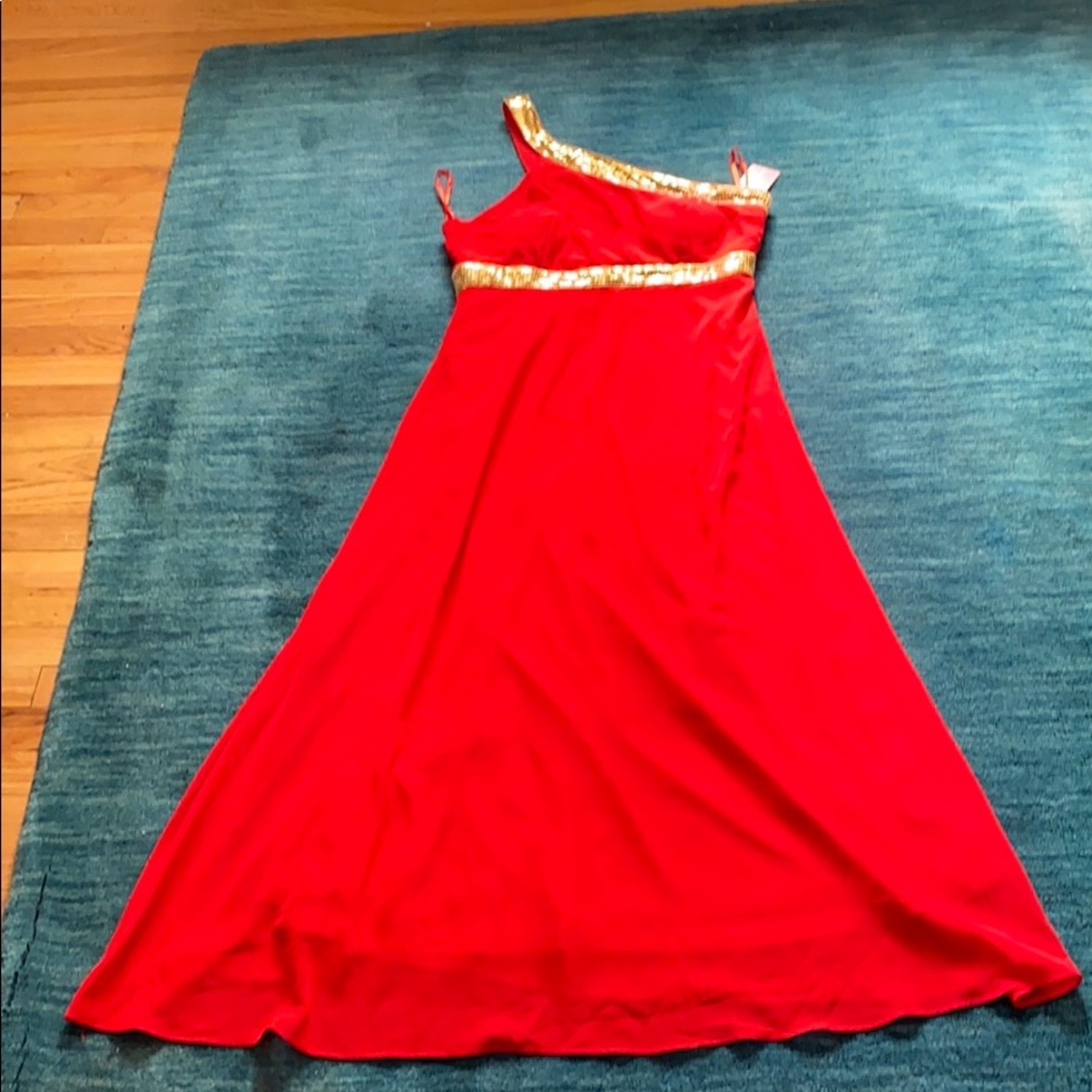 Donna Bella dress size 16